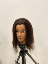 Load image into Gallery viewer, Multicultural Manikin Head with 100% Human hair
